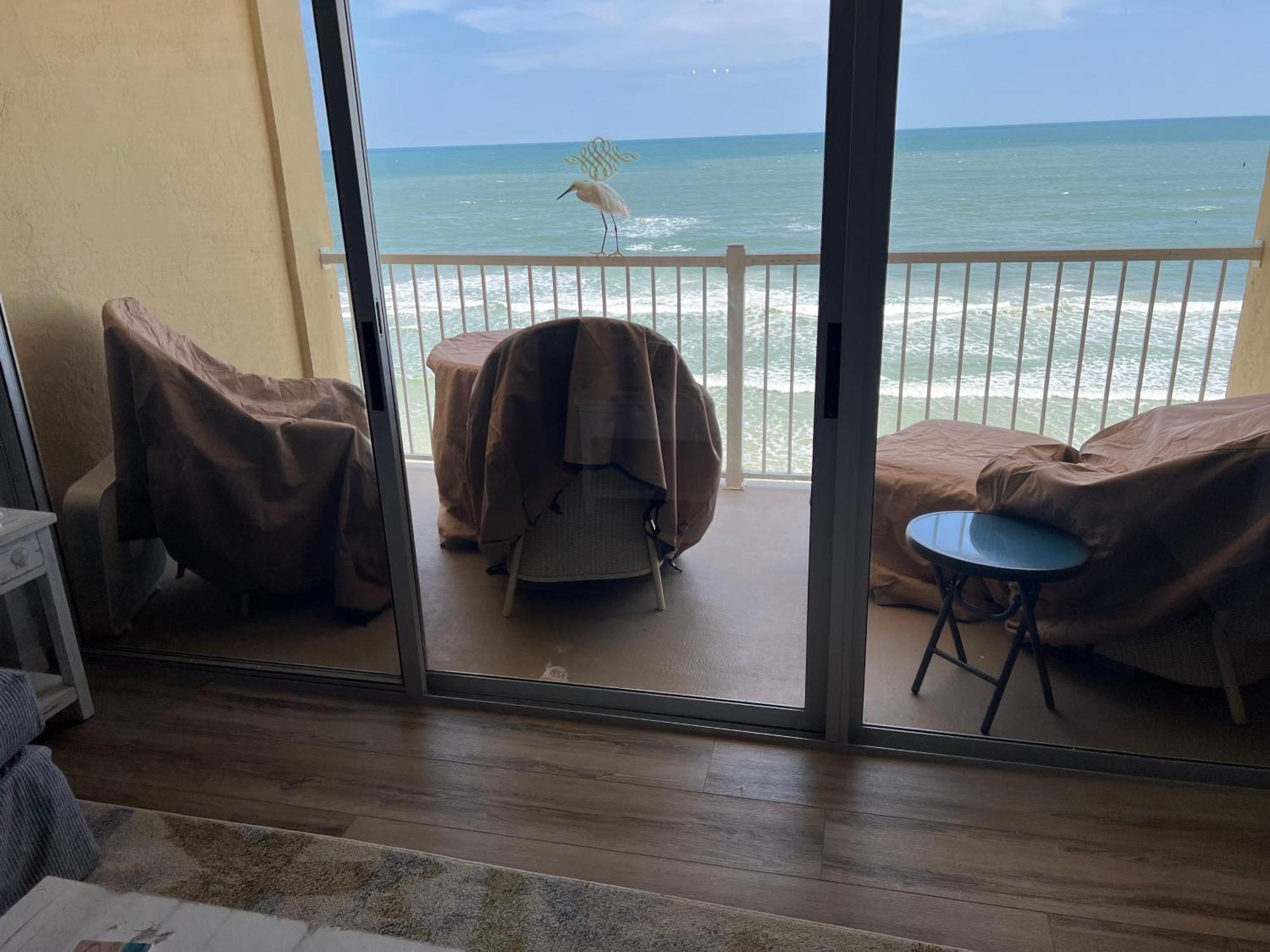 Ponce De Leon Towers Appartement New Smyrna Beach Buitenkant foto